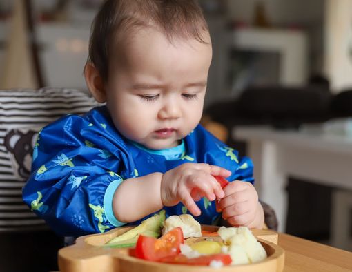Manfaat Tomat yang Baik untuk Kesehatan Bayi