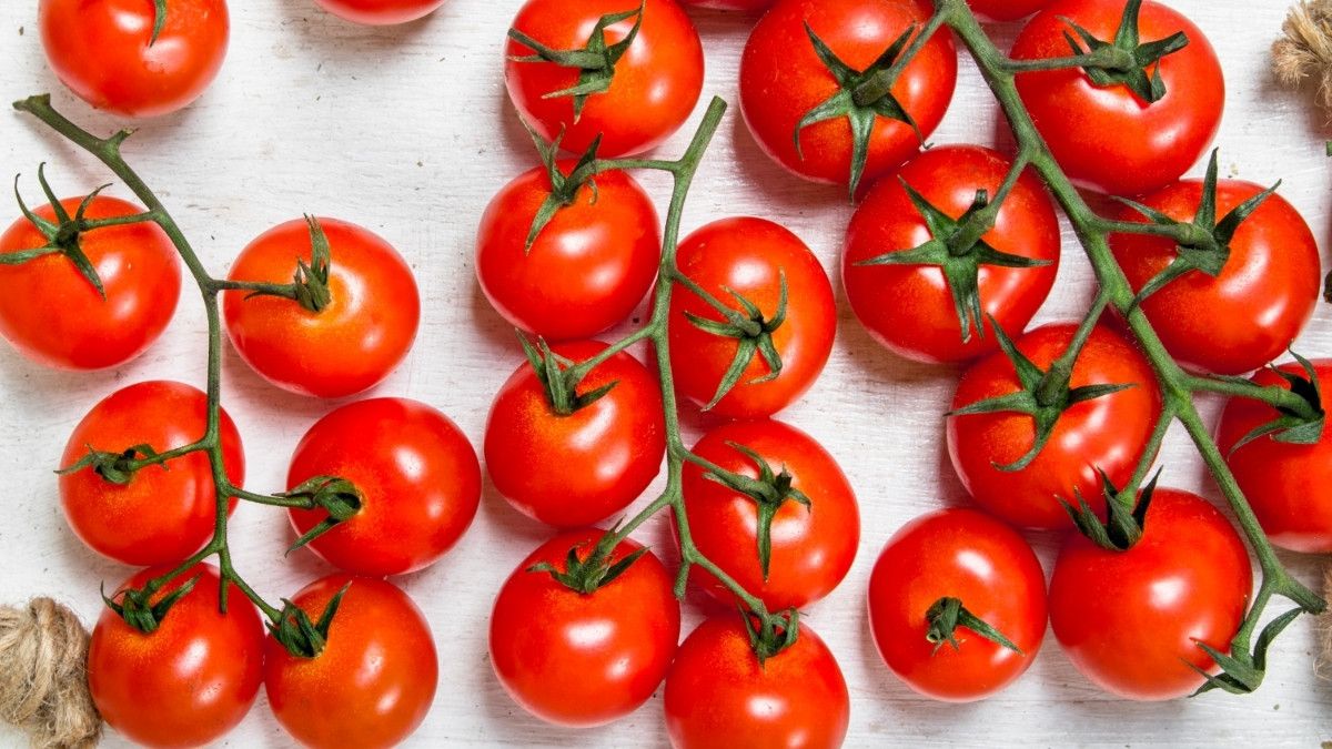 Segudang Manfaat Buah Tomat untuk Ibu Hamil