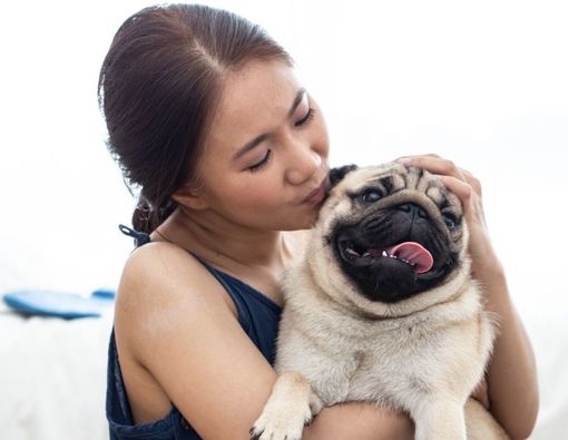 Sederet Manfaat Memelihara Anjing bagi Kesehatan Tubuh