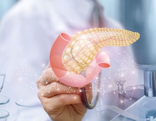 Pankreas dan Diabetes