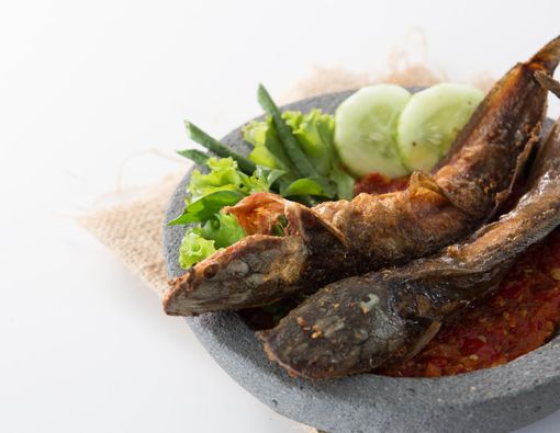 Manfaat Makan Ikan Lele untuk Ibu Hamil