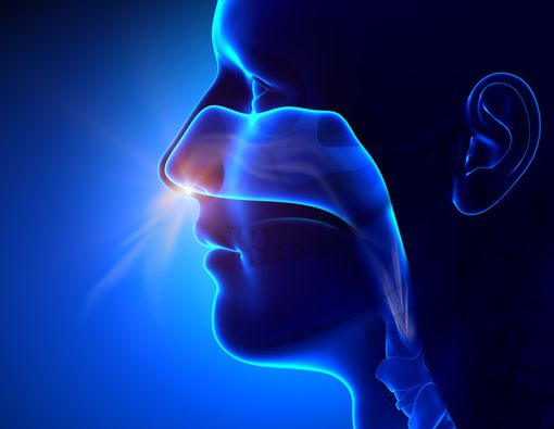 Pilek Tak Kunjung Sembuh, Awas Sinusitis!