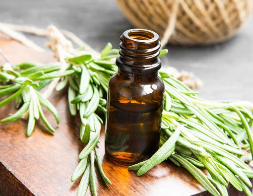 Efektifkah Daun Rosemary untuk Tangani Pegal?