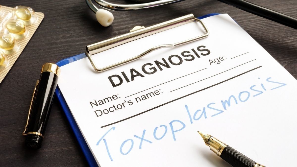 Mengapa Toxoplasmosis Bisa Tingkatkan Risiko Diabetes?