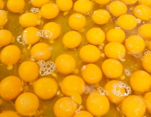 Menyingkap Manfaat Masker Kuning Telur untuk Rambut