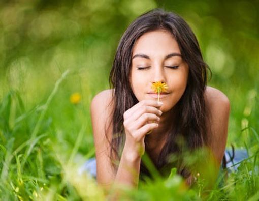 Aroma Bunga, Benarkah Hanya Sampai di Hidung Saja?