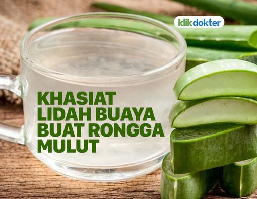 Khasiat Ajaib Lidah Buaya untuk Kesehatan Rongga Mulut