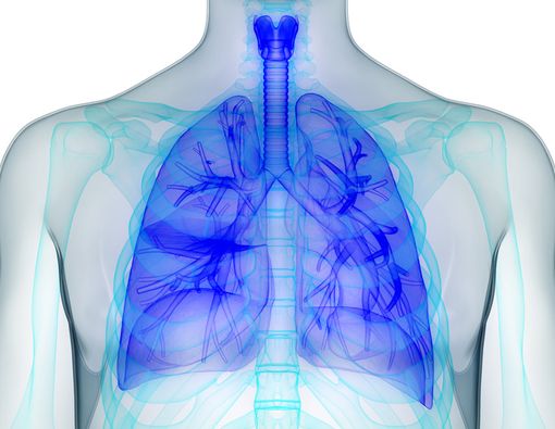 PPOK, Penyakit Berbahaya Akibat Rokok