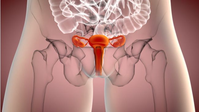 Ini Wanita yang Berisiko Terkena Kanker Serviks