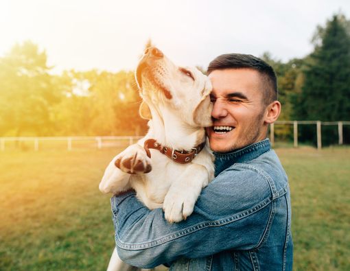 10 Tanda Anjing Kesayangan Anda juga Bisa Depresi