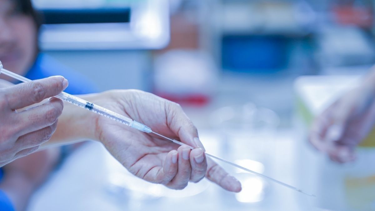 Yang Perlu Diketahui Seputar Pembekuan Sel Telur