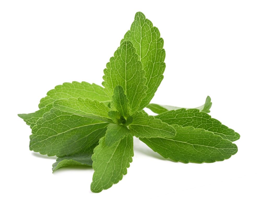 9 Manfaat Daun Stevia untuk Kesehatan Tubuh