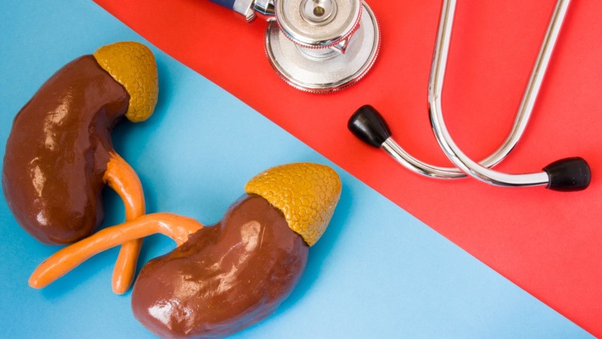 Deretan Cara Mengobati Hidronefrosis yang Terbukti Efektif