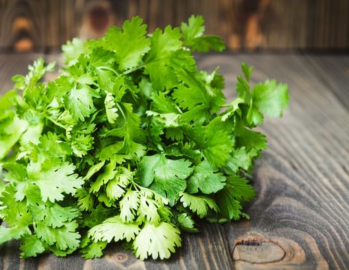 Manfaat Daun Ketumbar, Cegah Kanker hingga Jadi Pengawet Alami