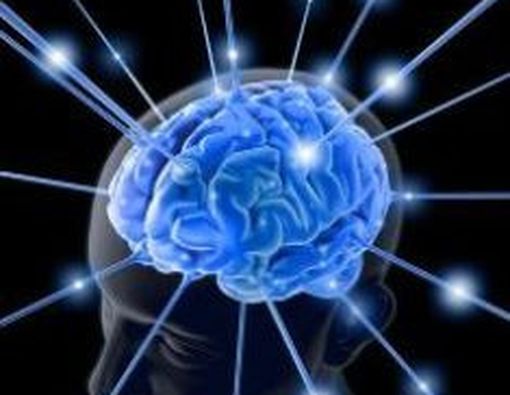 Cara Memperkuat Otak
