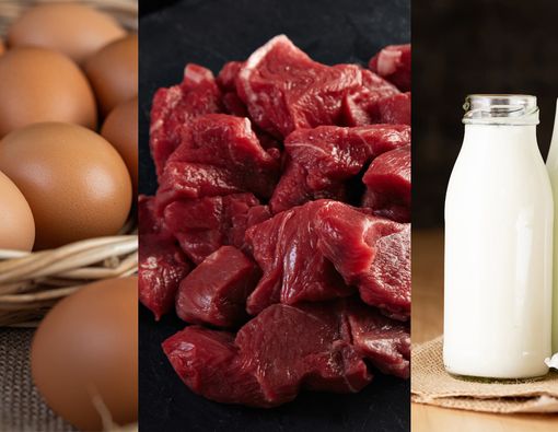 Kolesterol Telur, Daging, dan Produk Susu, Mana yang Lebih Tinggi?