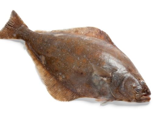 Amankan Mengonsumsi Halibut saat Hamil?