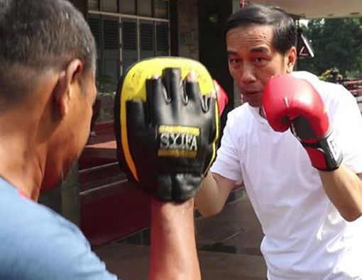 Presiden Jokowi Latihan Tinju Lawan Sang Ajudan