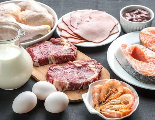 Manfaat Protein untuk Tumbuh Kembang Anak