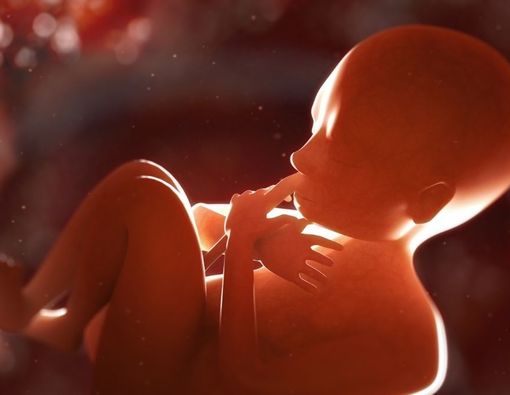 Deretan Vitamin yang Baik untuk Kesehatan Mata Janin