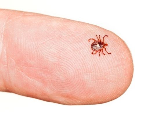 Awas Penyakit Kulit Karena Sprei Kotor!