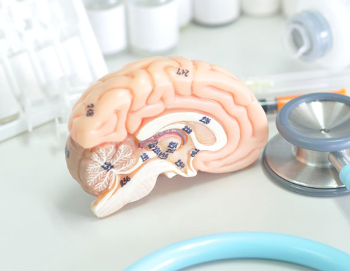 Kenali Fungsi Kelenjar Pituitari dan Risiko Penyakitnya