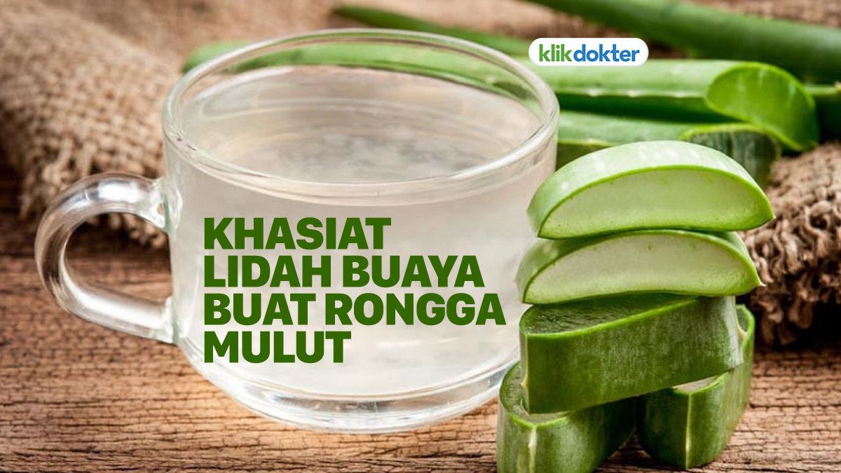 Khasiat Ajaib Lidah Buaya untuk Kesehatan Rongga Mulut