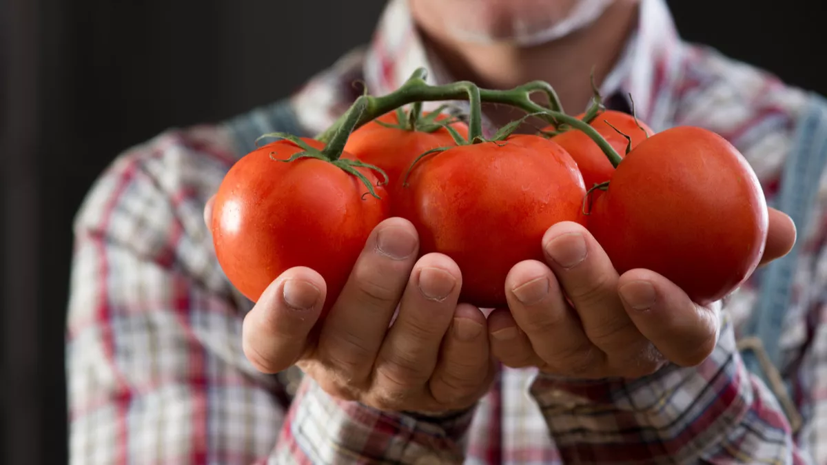 Tomat Bisa Meningkatkan Kualitas Sperma, Ini Mitos atau Fakta?