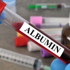 Apa Itu Albumin? Ketahui Fungsi dan Kadar Normalnya