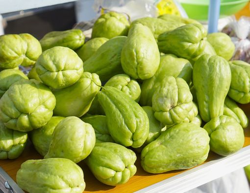 10 Manfaat Labu Siam untuk Kesehatan Tubuh dan Diet Kamu