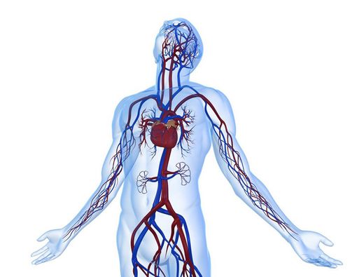 Sederet Manfaat Puasa bagi Kesehatan Tubuh