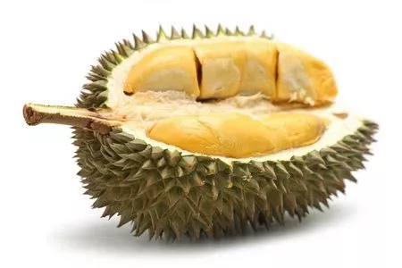 Benarkah Buah Durian Dapat Meningkatkan Libido?