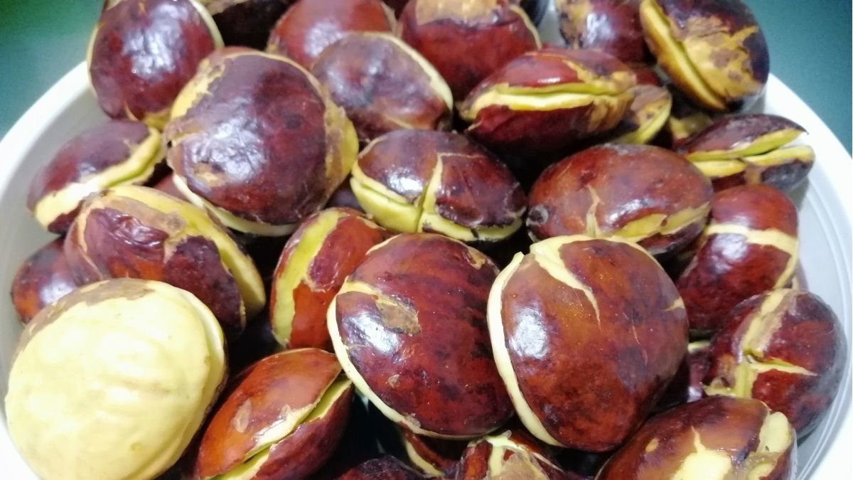 Benarkah Jengkol Bermanfaat untuk Diabetes?