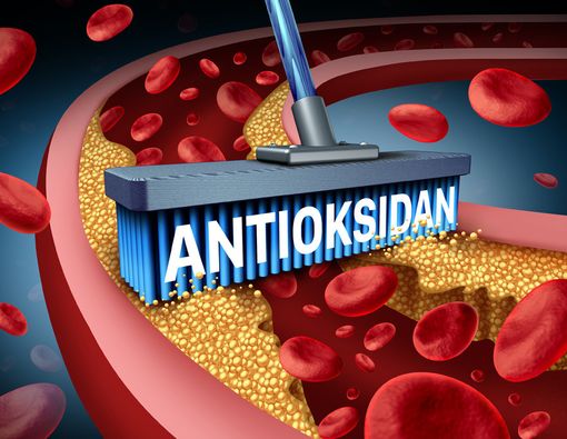 Awas Kolesterol Picu Silent Killer, Cegah dengan Zaitun!