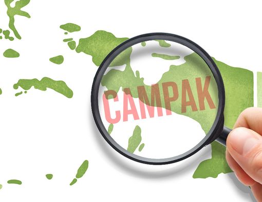 Menyelisik Penyebab Wabah Campak di Asmat, Papua