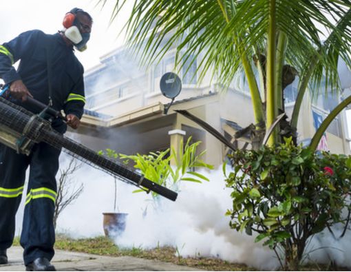 Efektivitas Fogging Nyamuk terhadap Pencegahan Demam Berdarah