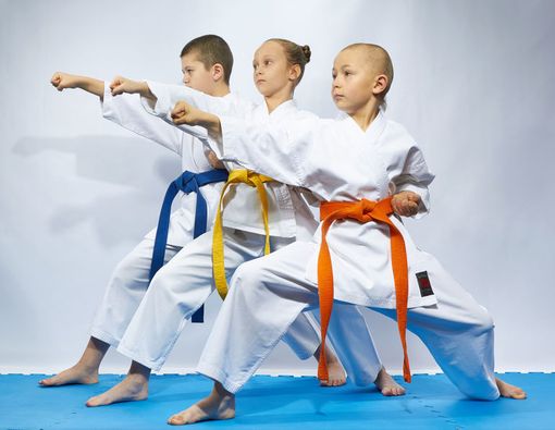 Manfaat Olahraga Bela Diri untuk Anak