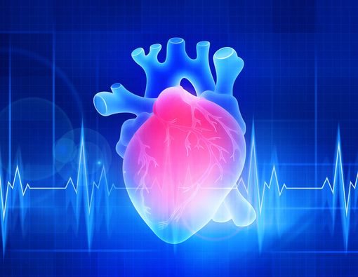 Mengapa Kasus Kanker Jantung Jarang Ditemukan?