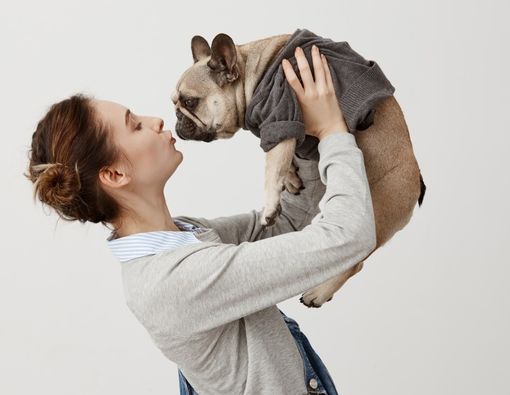 Manfaat Psikologis Punya Hewan Peliharaan di Masa Pandemi