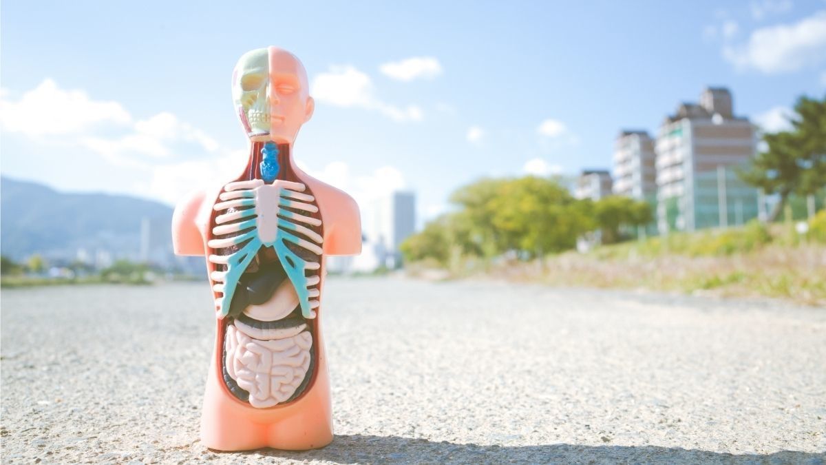 Penyebab dan Tanda-Tanda Tubuh Mengalami Multiorgan Failure