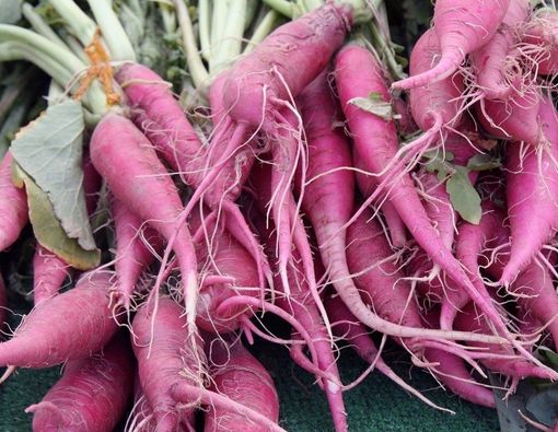 Jarang Diketahui, Ini Manfaat Wortel Ungu bagi Kesehatan