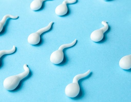 Polotsk fohishalari, Belarus - rav16.ru saytida