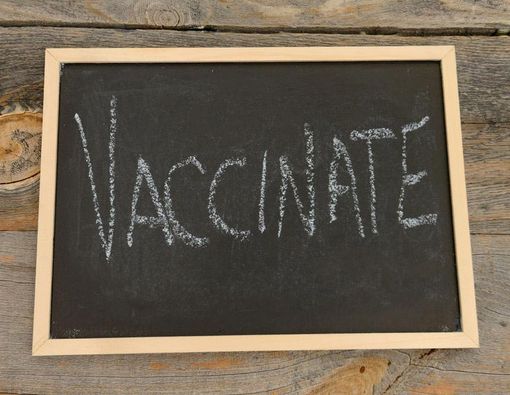 Imunisasi Campak di Sekolah, Perlukah?