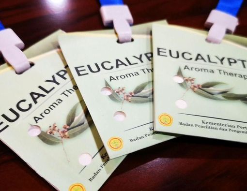 Heboh Kalung Anti Corona, Efektifkah Eucalyptus Cegah COVID-19?