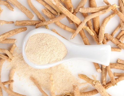 Manfaat Ashwagandha (Ginseng India) untuk Kulit