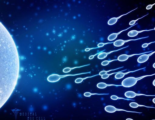 Benarkah Menelan Sperma Bisa Bikin Hamil?