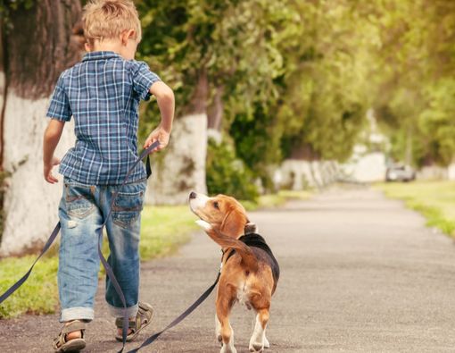 Anak Malas Olahraga, Pilihkan 5 Aktivitas Fisik Ini