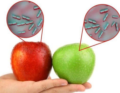 Ini Akibatnya Jika Keracunan Apel Amerika yang Berbakteri