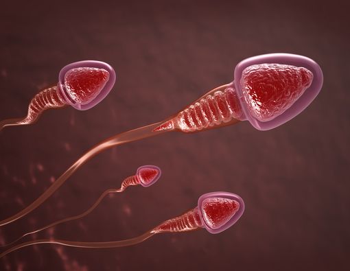 Benarkah Jumlah Sperma Pria Obesitas Lebih Sedikit?