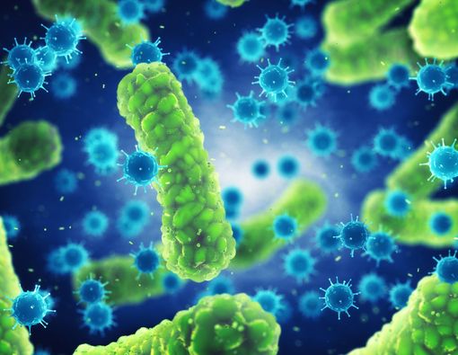 Benarkah Bakteri di Usus Bisa Sebabkan Depresi?